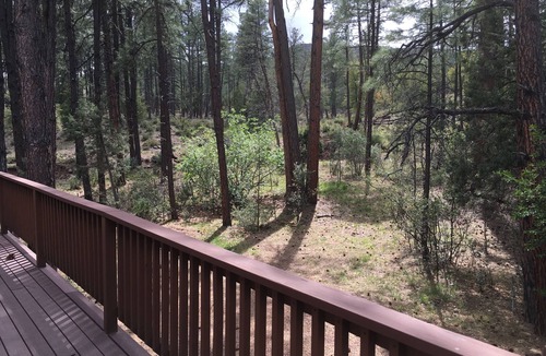 Pine Cabin | Privacy! One & 1/2 acre with wrap around deck. Backs the National Forest.