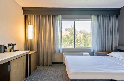San Ramon Hotel | Recreate Sensational Memories! Fireplace! Close to Danville South Park