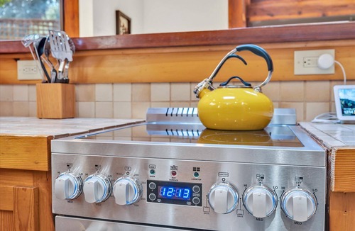 Guerneville House | Redwood Canopy Getaway! Guerneville~Russian River! EV~Hot Tub!~TreeFort