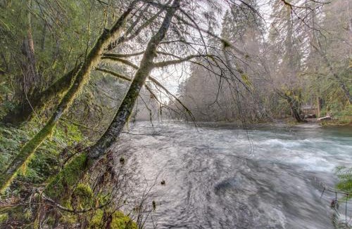 McKenzie Bridge House | Restored log cabin with classic porch - near river trails hot springs & more