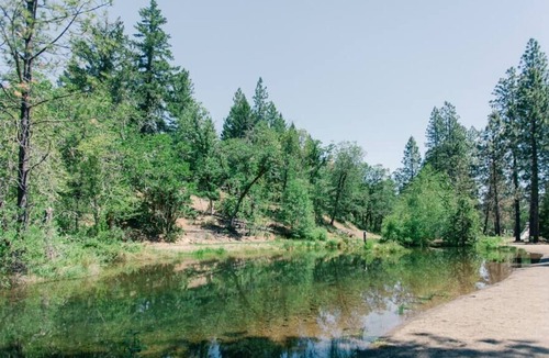 Cave Junction Cabin | Rustic Glamping Cabin - Camp in style and comfort!