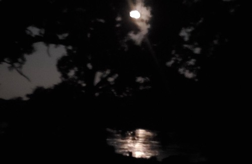 Anderson House | Sacramento River Home! Awesome star-watching! Isolated!
