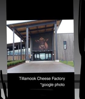 Tillamook Apartment | Saltline Studio
