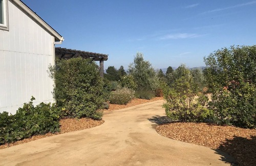 Freestone Cottage | Stunning Views on 10 acres w/ Vineyard, 7 min to Sebastopol