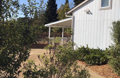 Freestone Cottage | Stunning Views on 10 acres w/ Vineyard, 7 min to Sebastopol