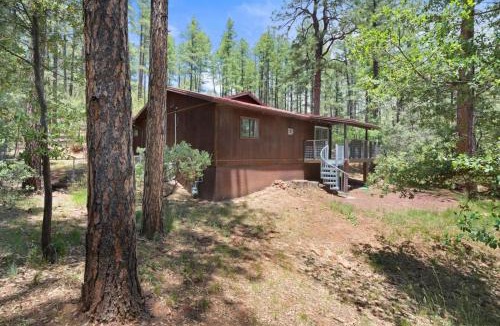 Strawberry House | Summers Rest Mountain Cabin in the Pines