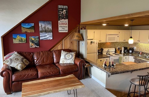 Mount Crested Butte Condo | Super location for your Summer vacation! Hiking, Biking, Wild flowers.