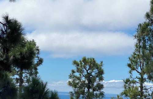 Rancho Palos Verdes Apartment | Tranquil oceanview apartment in Palos Verdes