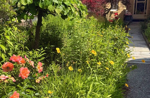Cobourg Apartment | Wild Divine Sanctuary: Yoga + Nature + Zen