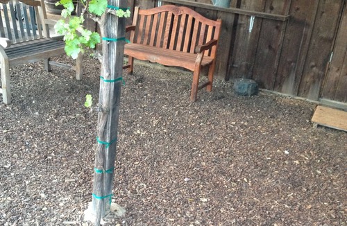 Healdsburg House | Wine country getaway; stay in a winery