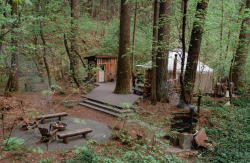 Nevada City Other | Your private Yurt in the woods - Nevada City