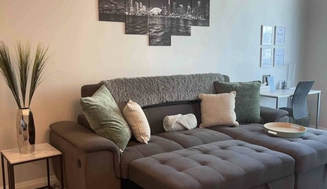 1BR Condo DWTN Toronto-free Parkin, Gym & Pool
