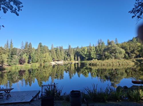 1BR Dog-Friendly Lakefront Cabin w/Canoes
