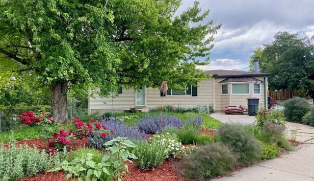 4 Beds, Mountain View, great parks, gateway to the Rockies, washer and dryer