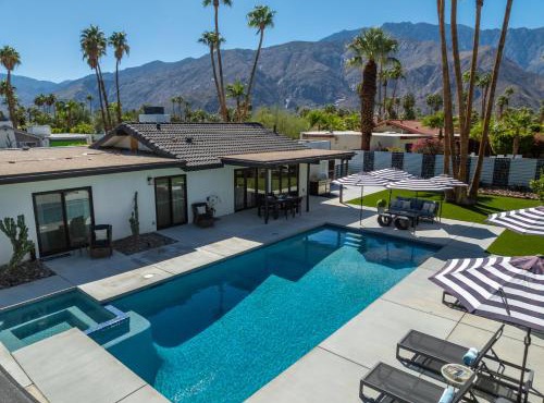 Alluring Palms