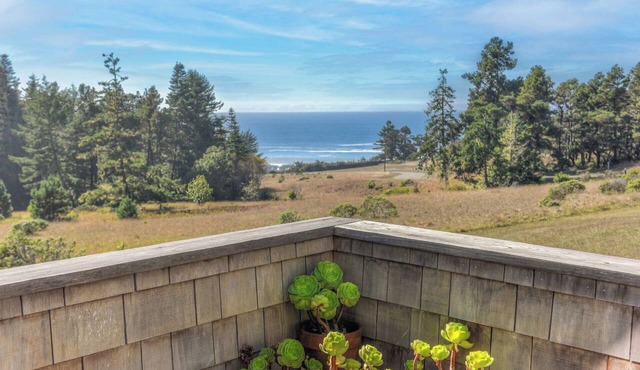 Architectural Treasure | Private Hot Tub!