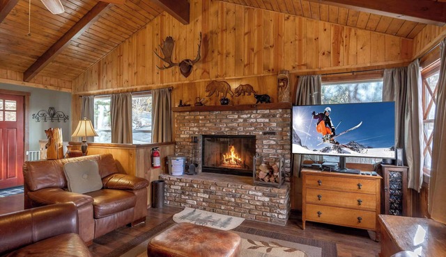 Bear Necessities ,4BR Cabin, Fireplace Near Slopes