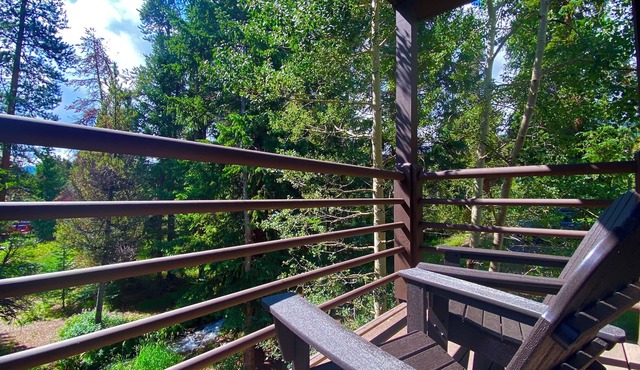 Best Ski Slope View, Ski-in Condo. Easy to walk!