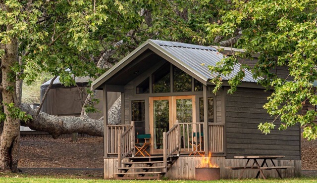 Cabin | Queen Stay + Firepit | No Hidden Fees