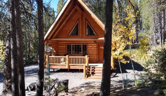Caz's cozy cabin in the Cascades