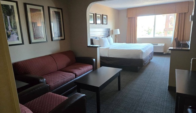 Charming 1-King Suite Bed with Cozy Style