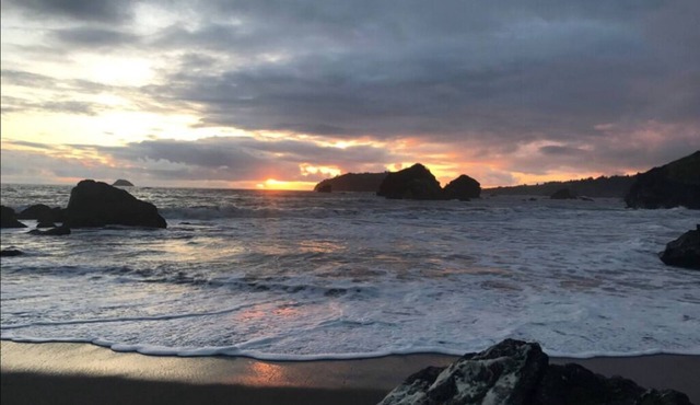 Cozy 2 bedroom in the Coastal Redwoods