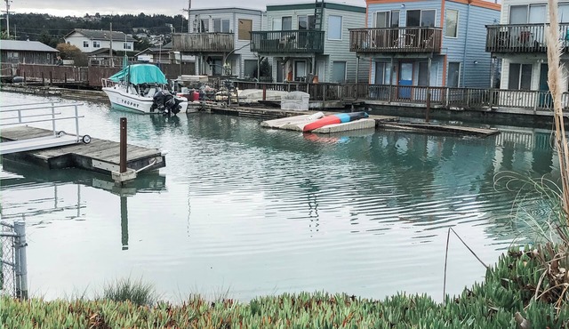 Cozy Dog Friendly Bay Cottage on the Canal, BBQ and private patio