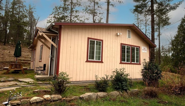 Cozy Nature-Filled Home with Garden & Night Sky Views Near Yosemite Tioga Pass, Groveland CA