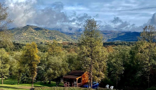 Cozy Tiny House on a 72-Acre Animal Sanctuary in Squaw Valley, California