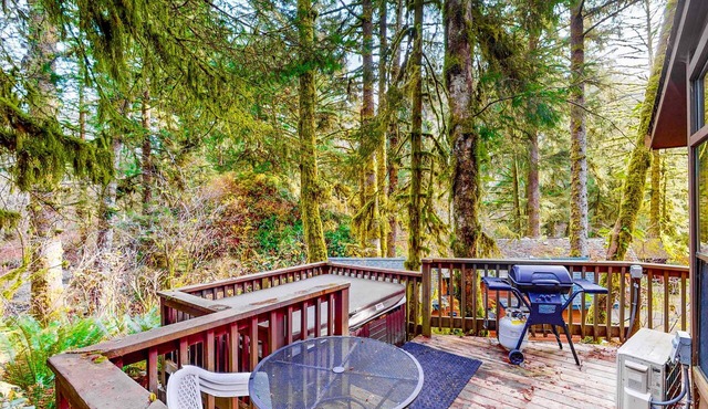 Dog-friendly cabin near beach with private hot tub, grill, patio, streaming, AC