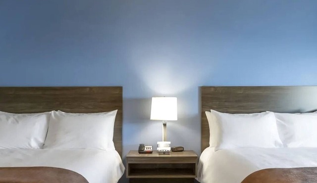 Explore Carson City: Pet-Friendly Room w/Kitchen Near Golf, Trails & Museums