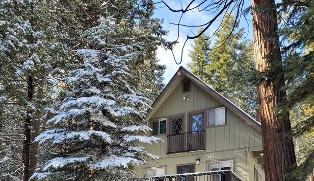Family Friendly Cabin mins from Pinecrest & Dodge Ridge