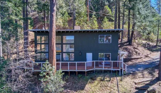 Glass Cabin Under the Pines | Hot Tub Seclusion
