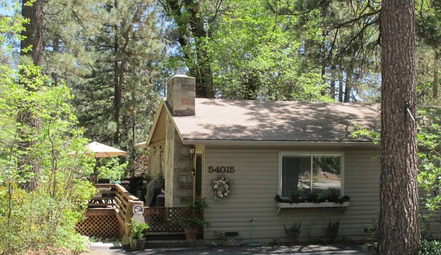 Home Away From Home In Idyllwild -short Walk To Village And Trails