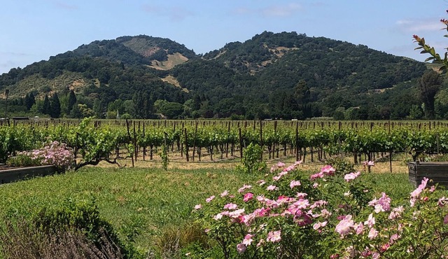 In the heart of Napa Valley…Fabulous Property, Fabulous Location!