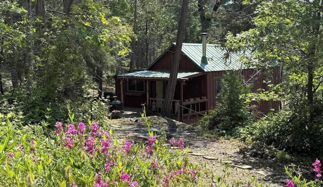 Little Cabin In The Woods/Camp Sierra/Big Creek