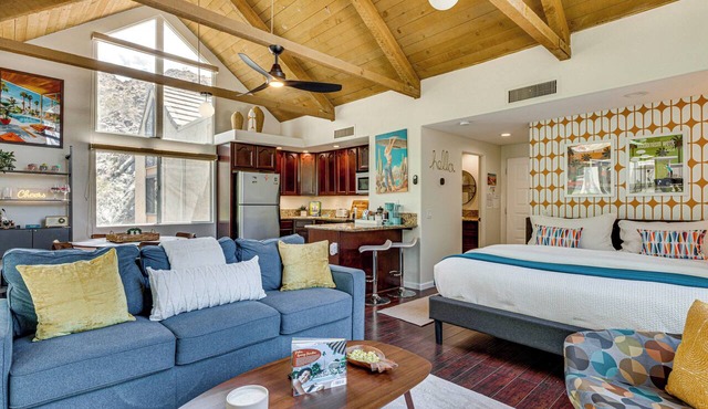 Mid-Mod Mountain Cove Studio with Views