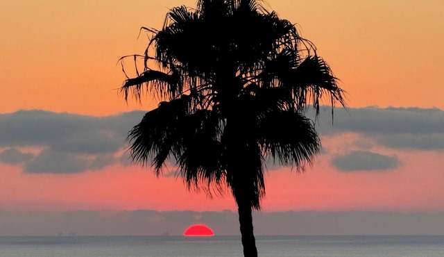 NEW Gorgeous Studio w AC in Laguna Beach near 1000 Steps