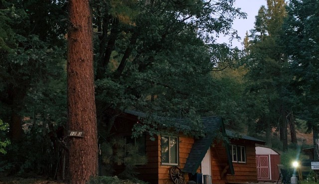 Owl Cabin - Sierra style cabin located on a quiet road in Fawnskin and backs up to National Forest!