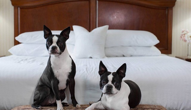 Pet-Friendly Queen Room w/Free Breakfast | Nr MFR