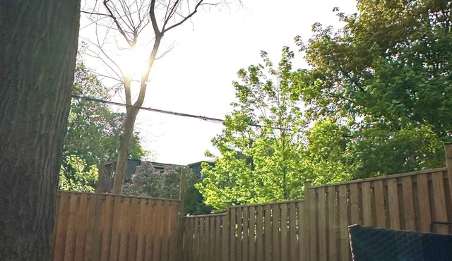 Premium Bright Designer Retreat w/Private Deck | High Park