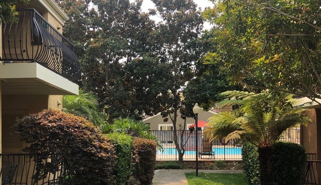 Private Quiet Lush Corner Apt w/Pool, Spa, Convenient to Roads Walk to Amenities