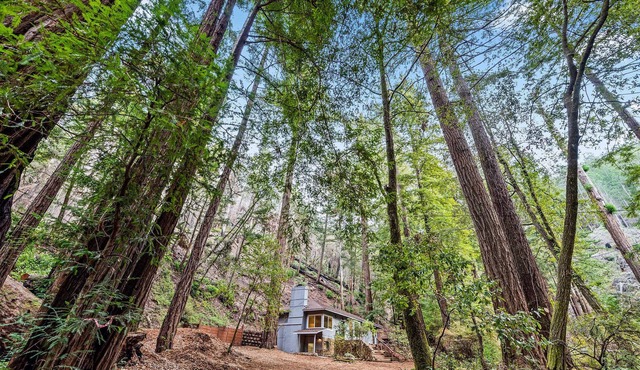 Quiet Retreat in the Redwoods