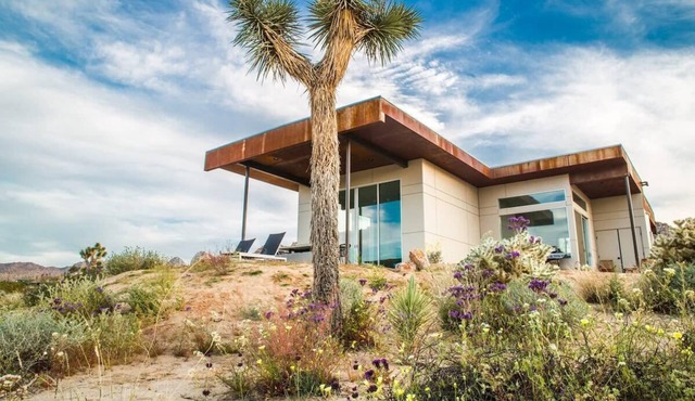 Solis By Homestead Modern