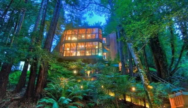Stunning Chalet in Mill Valley Redwood Forest