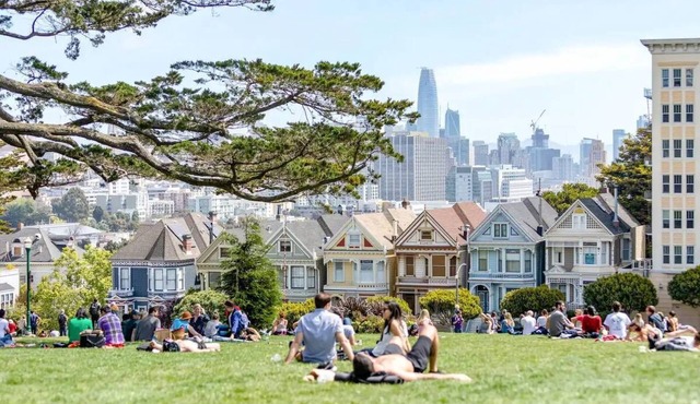 Sunny studio by Alamo Square and the Painted Ladies.