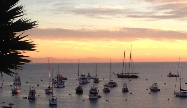 The Getaway You’ve Been Waiting to Find! 2 Units with Partial Ocean View!