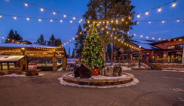 The Stellar Cabins