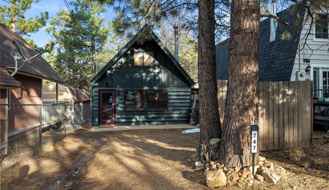 Twin Bear Cabin + Indoor Fireplace + BBQ!