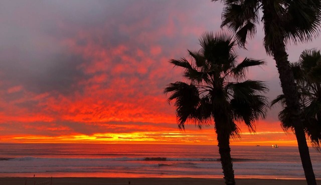 Unobstructed Ocean Views! On the Strand. - Accepting under 30 days